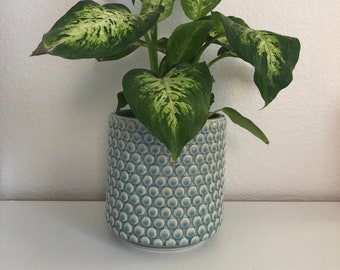 Penny dark sky blue planter 6 x 6” holds 5 inch pot