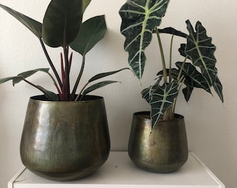 Oxidized brass finish planter crafted from 100% iron.