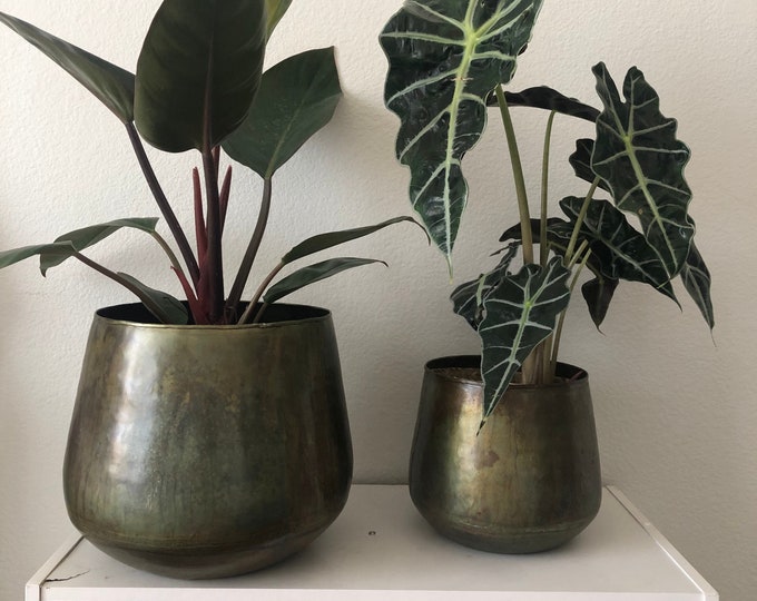 Oxidized brass finish planter crafted from 100% iron.