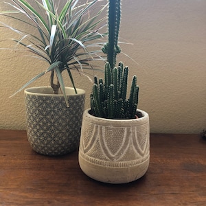 White washed terra-cotta 6 inch pot