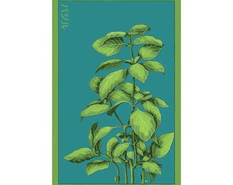 Basil Herb Seeds  in Vintage Packaging