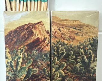 Matches - Desert and Cactus.