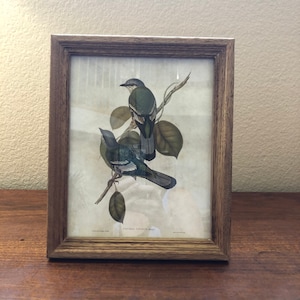 Wood 11 1/4 x9 1/4 frame with bird image holds a 9 1/2" x 7 1/2" image