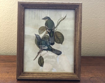 Wood 11 1/4 x9 1/4 frame with bird image holds a 9 1/2" x 7 1/2" image