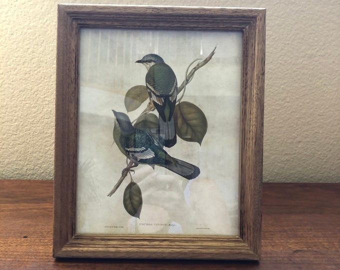 Wood 11 1/4 x9 1/4 frame with bird image holds a 9 1/2" x 7 1/2" image