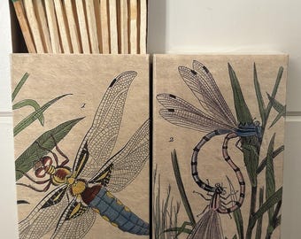 Matches - Dragonfly fields