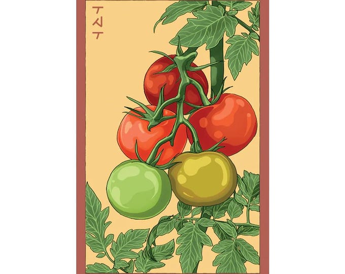 Beefsteak Tomato Vegetable Seeds in Vintage Packaging