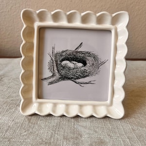 May include: An off-white ceramic picture frame with a scalloped edge, holding a black and white illustration of a bird's nest with eggs. The frame is square and displayed on a neutral-toned surface.