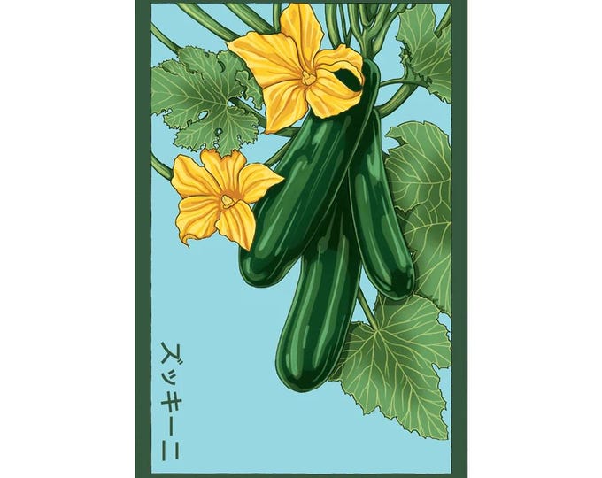 Zucchini Vegetable Seeds in Vintage Packaging