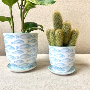 Peut inclure: Deux pots de fleurs en céramique avec soucoupes assorties. Les pots sont blancs avec un motif répété de poissons bleus. L'un des pots contient une plante verte et l'autre un cactus. Les bords et les soucoupes ont une bordure bleu clair.