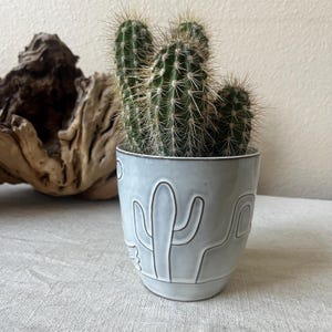 Puede incluir: Un cactus verde con espinas afiladas en una maceta de cerámica azul claro. La maceta presenta un diseño de cactus en relieve con contornos marrón oscuro. La maceta está sobre una superficie de color neutro.