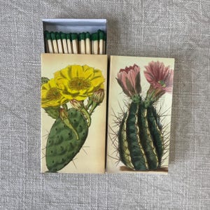 Matches - Cactus