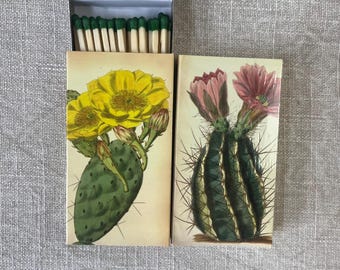 Matches - Cactus