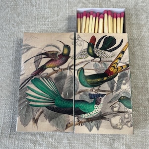 Matches - Birds