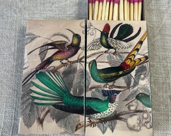 Matches - Birds