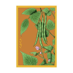 Green Beans Vegetable Seeds in Vintage Packaging