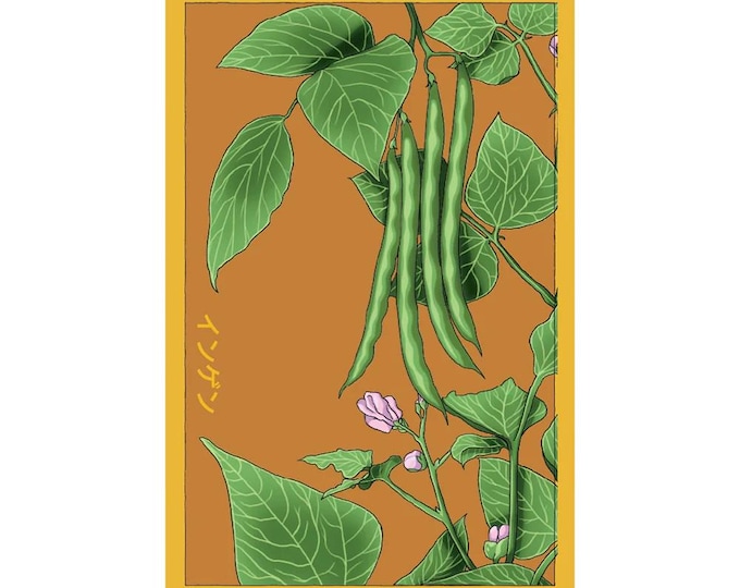 Green Beans Vegetable Seeds in Vintage Packaging