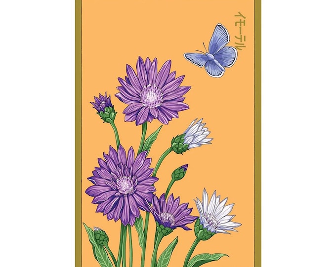Immortelle Flower Seeds in Vintage Packaging