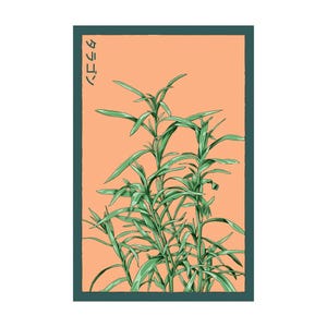 Tarragon Herb Seeds in Vintage Packaging
