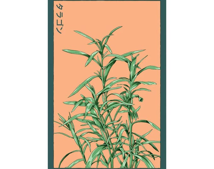 Tarragon Herb Seeds in Vintage Packaging