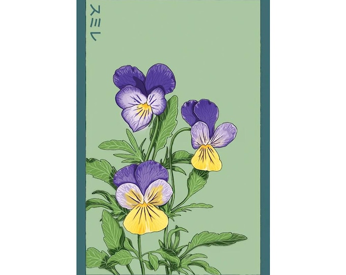 Pansy Flower Seeds in Vintage Packaging