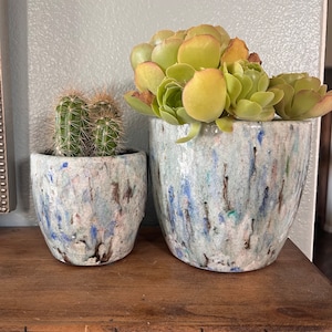 Peut inclure: Deux pots en céramique avec un glaçage moucheté blanc, bleu et brun. Un pot contient une plante succulente aux feuilles vertes. L'autre pot contient un cactus aux épines vertes.