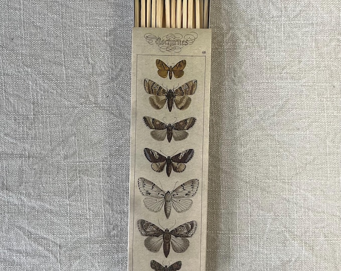 Moths Decorative Matchbox - Graphic Decor
