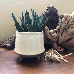 Beige footed 4 inch planter