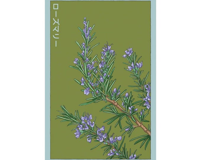 Rosemary Herb Seeds in Vintage Packaging