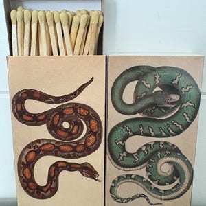 Matches - Snakes Green and Red