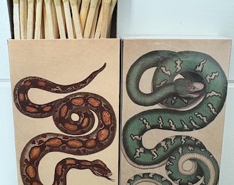 Matches - Snakes Green and Red