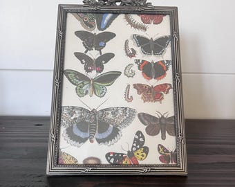 Marco plateado de estilo victoriano con detalles florales que contiene una imagen de aproximadamente 4 3/4" x 6 3/4".