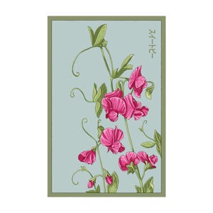 Sweet Pea Flower Seeds in Vintage Packaging