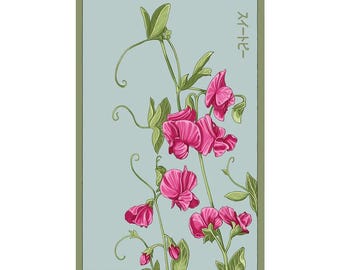 Sweet Pea Flower Seeds in Vintage Packaging