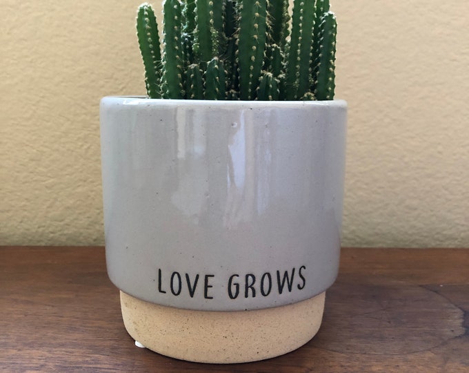 Love grows 5 inch pot in grey