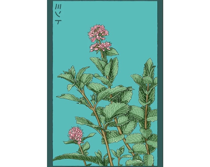 Mint Herb Seeds in Vintage Packaging