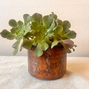 Hammered distressed brass 5”Dx 4”H planter pot
