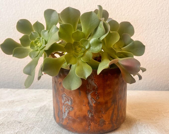 Hammered distressed brass 5”Dx 4”H planter pot