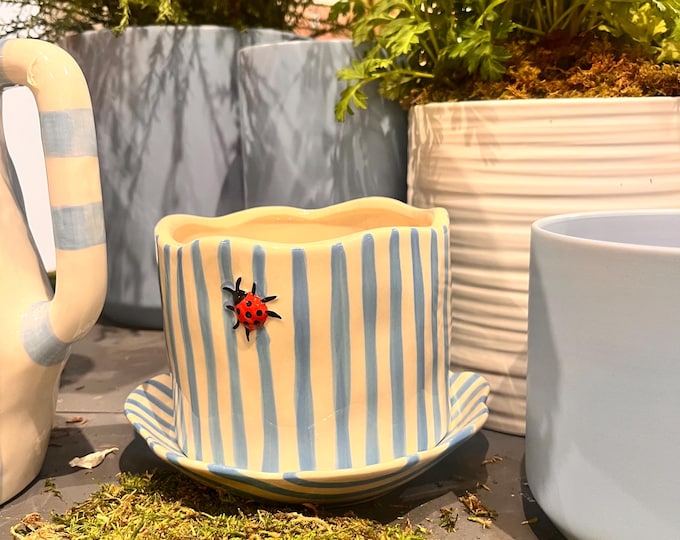 Blue Striped ladybug planter with drainhole and saucer 6.5"WX4.5"H