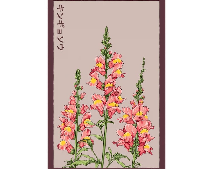 Snapdragon Flower Seeds in Vintage Packaging