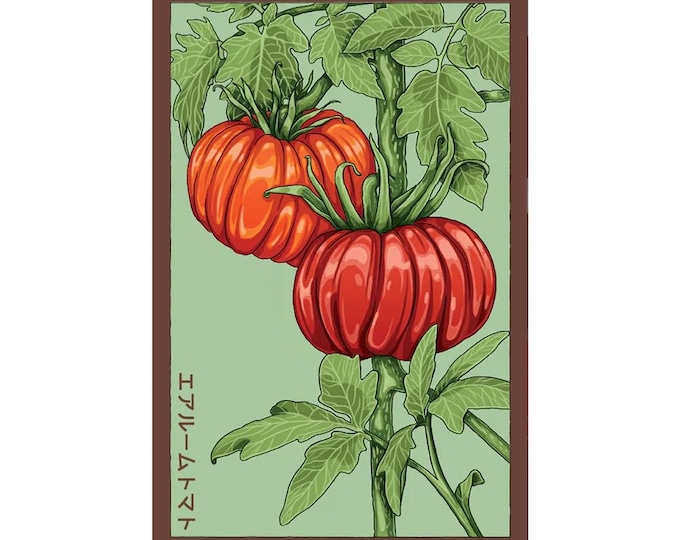 Heirloom Tomato Vegetable Seeds in Vintage Packaging