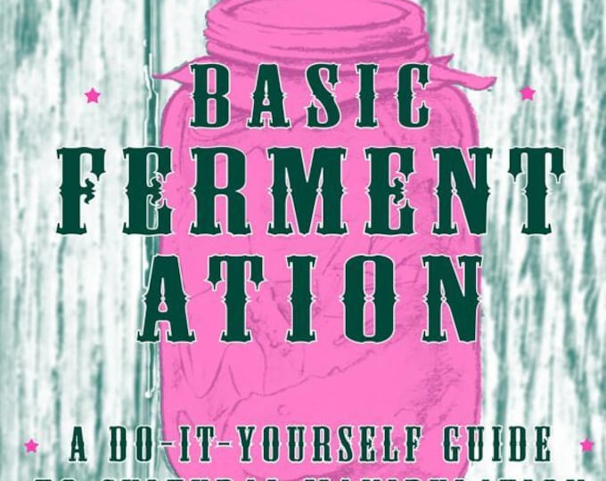 Basic Fermentation: A Do-It-Yourself Guide to Cultural Manipulat