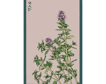 Thyme Herb Seeds in Vintage Packaging