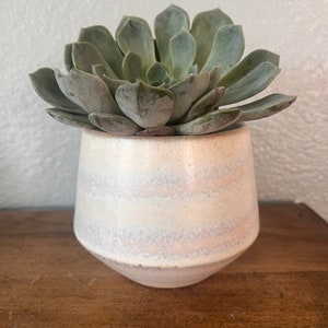 Puede incluir: Una planta suculenta con hojas verde pálido en una maceta de cerámica blanca. La maceta tiene una forma redondeada con un diseño sutil en capas en tonos de blanco y lila claro. La maceta está sobre una superficie de madera.