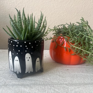 May include: A black ceramic planter with white ghost designs and a green succulent plant. Next to it is an orange pumpkin-shaped planter with a trailing green plant. Halloween-themed home decor.