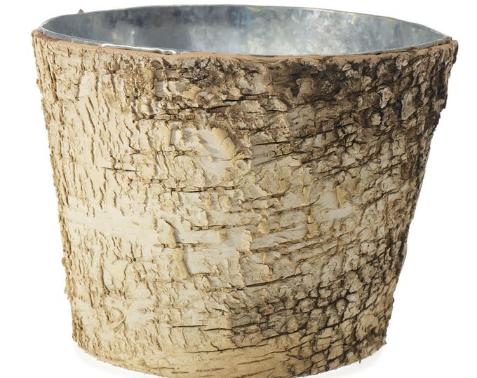 Birch Pot with Zinc 7"x 6"