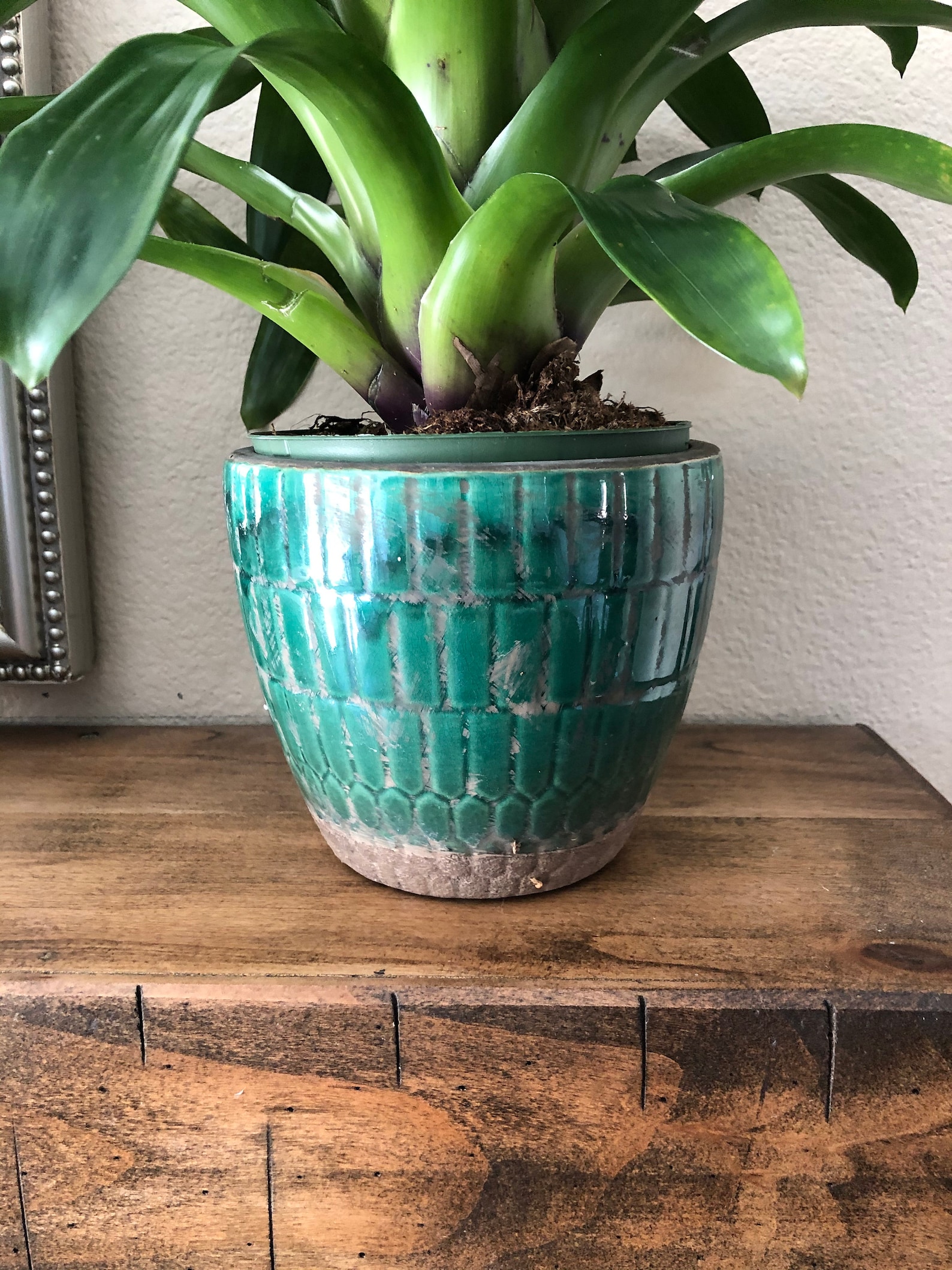 Round Terra Cotta Planter