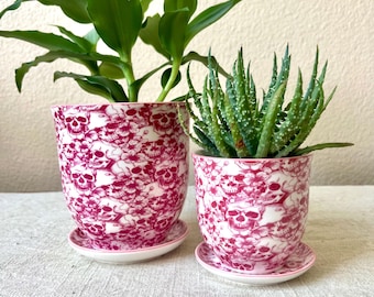 Hand stamped pot with saucer embossed pattern red and white sculls and roses