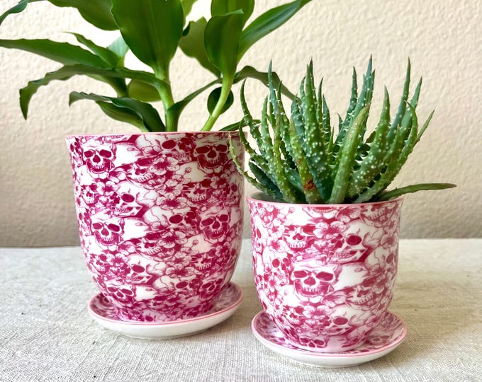 Hand stamped pot with saucer embossed pattern red and white sculls and roses