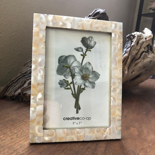 Opulence Gold Mother of Pearl Picture Frame With Single Etsy